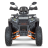 Квадроцикл Dazzle ATV200 Комплектация 1