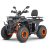 Квадроцикл Dazzle ATV200 Комплектация 1