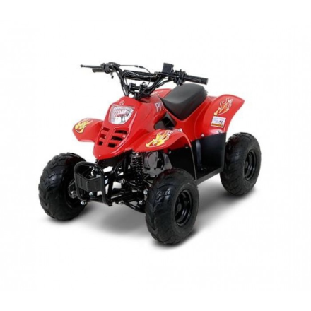 Квадроцикл Русская Механика РЫСЬ 50, фото 1