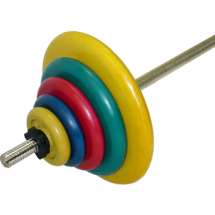 Штанга тренировочная 75,5 кг (МВ) цветная