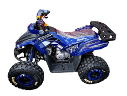 Квадроцикл MOTOLAND 125 Coyote Pro, фото 4 Квадроцикл MOTOLAND 125 Coyote Pro, фото 4