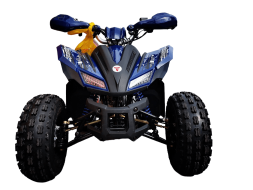 Квадроцикл MOTOLAND 125 Coyote Pro, фото 2 Квадроцикл MOTOLAND 125 Coyote Pro, фото 2