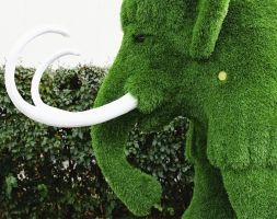 Топиари мамонт Олди - газон Eco, фото 4