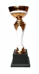 Кубок 2854-Bronze h-23см (чаша)