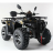 Квадроцикл MOTAX ATV Grizlik 300