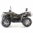 Квадроцикл MOTAX ATV Grizlik 300
