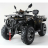 Квадроцикл MOTAX ATV Grizlik 300