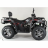 Квадроцикл MOTAX ATV Grizlik 300