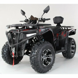 Квадроцикл MOTAX ATV Grizlik 300, фото 1