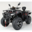 Квадроцикл MOTAX ATV Grizlik 300
