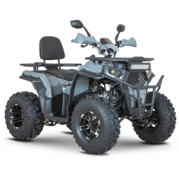 Квадроцикл Dazzle ATV200 Комплектация 2, фото 8