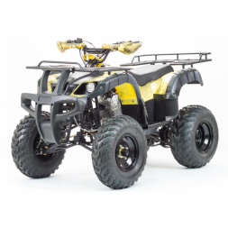 Квадроцикл Motoland ADVENTURE 250