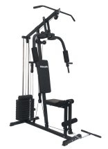 Мультистанция VictoryFit VF-HG3100 (3 места)