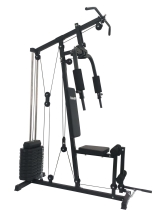Мультистанция VictoryFit VF-HG3100 (3 места)