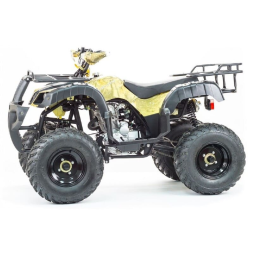 Квадроцикл STALKER 250, фото 13 Квадроцикл STALKER 250, фото 13