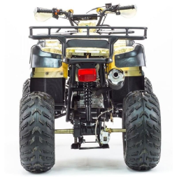 Квадроцикл STALKER 250, фото 8 Квадроцикл STALKER 250, фото 8