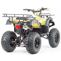 Квадроцикл STALKER 250