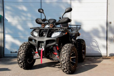 Квадроцикл GRIZZLY 250, фото 3