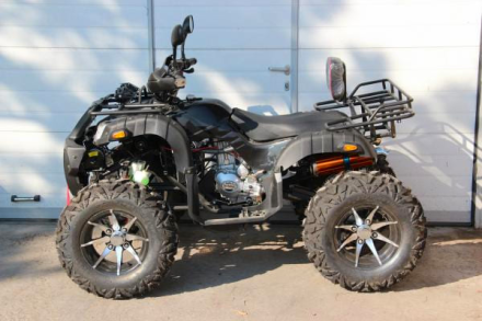 Квадроцикл GRIZZLY 250, фото 2
