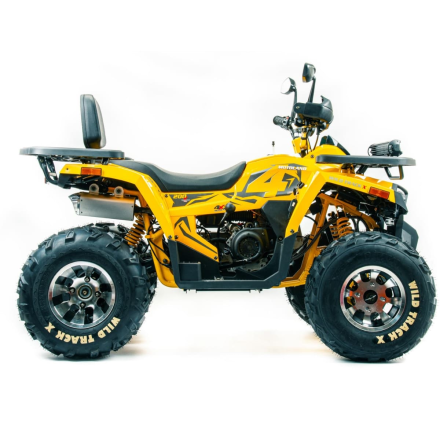 Квадроцикл MOTOLAND 200 Wild Track X Pro (Баланс. вал) (2021 Г.), фото 6