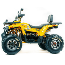 Квадроцикл MOTOLAND 200 Wild Track X Pro (Баланс. вал) (2021 Г.)