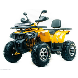 Квадроцикл MOTOLAND 200 Wild Track X Pro (Баланс. вал) (2021 Г.), фото 1