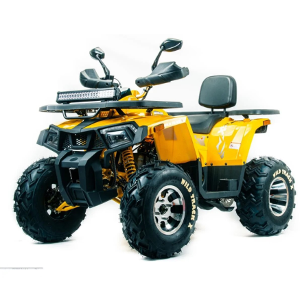 Квадроцикл MOTOLAND 200 Wild Track X Pro (Баланс. вал) (2021 Г.), фото 1