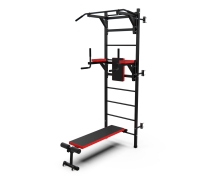 Шведская стенка с опциями DFC Lite VT-6006 (D-1235) / профиль 1,5 мм Шведская стенка с опциями DFC Lite VT-6006 (D-1235) / профиль 1,5 мм