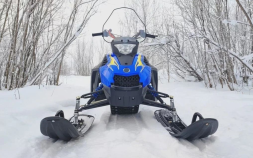 Снегоход WOIDEAL WD 300, фото 2