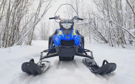 Снегоход WOIDEAL WD 300, фото 2