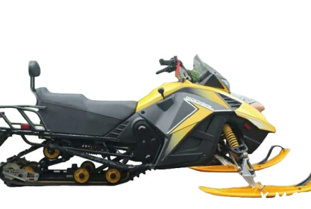 Снегоход WOIDEAL WD 200, фото 2