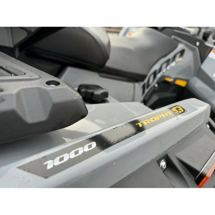 Квадроцикл Stels ATV Guepard 1000 (TE) EPS GN, фото 15