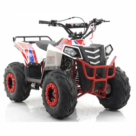 Квадроцикл MOTAX ATV Grizlik A110, фото 23
