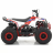 Квадроцикл MOTAX ATV Grizlik A110