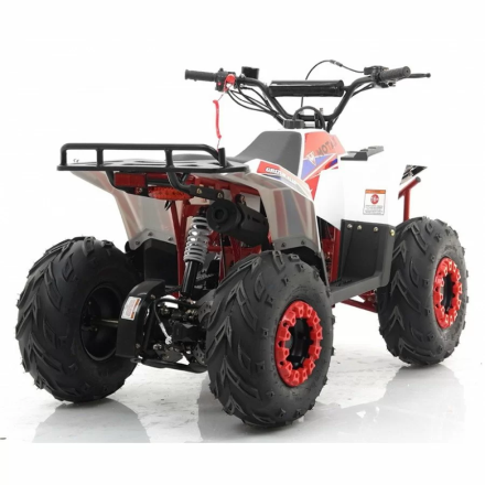 Квадроцикл MOTAX ATV Grizlik A110, фото 21