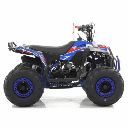 Квадроцикл MOTAX ATV Grizlik A110, фото 11