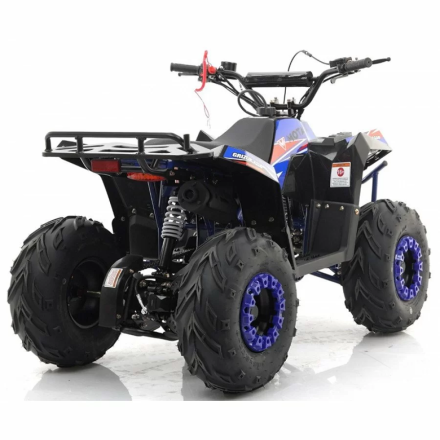 Квадроцикл MOTAX ATV Grizlik A110, фото 10