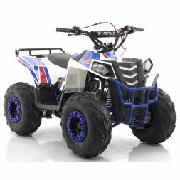 Квадроцикл MOTAX ATV Grizlik A110, фото 6
