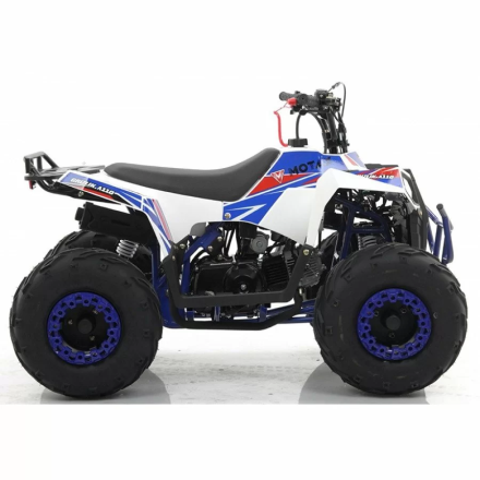 Квадроцикл MOTAX ATV Grizlik A110, фото 5