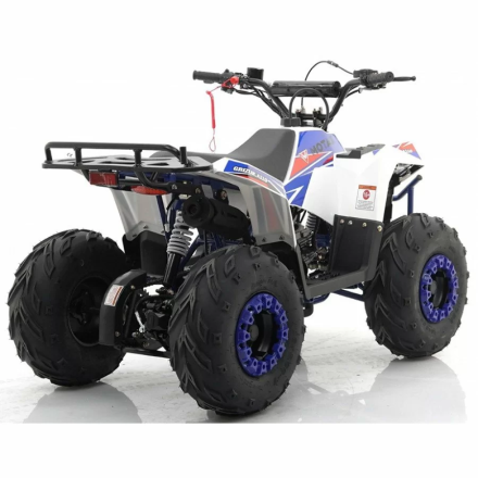 Квадроцикл MOTAX ATV Grizlik A110, фото 4