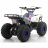Квадроцикл MOTAX ATV Grizlik A110