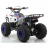 Квадроцикл MOTAX ATV Grizlik A110