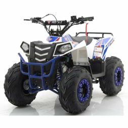 Квадроцикл MOTAX ATV Grizlik A110, фото 1