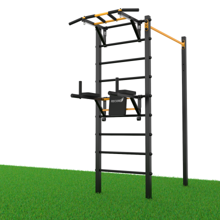 Уличный турник + шведская стенка с турником-брусьями и скамьей Record R4W-1 профиль 60х60 х 2 мм, фото 3