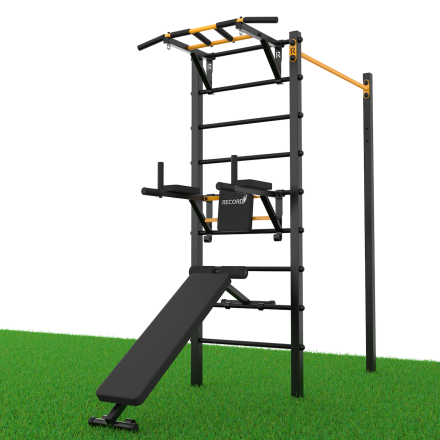 Уличный турник + шведская стенка с турником-брусьями и скамьей Record R4W-1 профиль 60х60 х 2 мм, фото 2