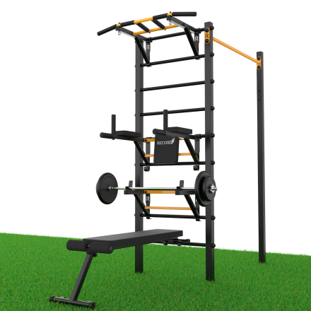 Уличный турник + шведская стенка с турником-брусьями и скамьей Record R4W-1 профиль 60х60 х 2 мм, фото 1