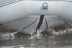 Надувная лодка BoatsMan BT300, фото 15