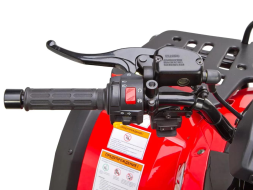 Квадроцикл СТЕЛС ATV 300 4WD, фото 9 Квадроцикл СТЕЛС ATV 300 4WD, фото 9