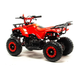 Квадроцикл MOTOLAND 50E Scorpion (2021 Г.), фото 3