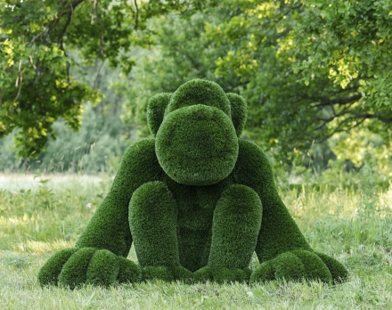 Топиари обезьяна Маина - газон Deluxe, фото 4